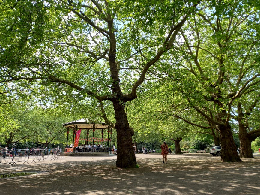A park scene featuring a large mature tree with a thick, textured trunk and sprawling branches covered in fresh green leaves, providing partial shade on the ground. In the background, there is a bandstand or outdoor pavilion with a rounded roof, supported by metal columns, where people are gathered, some seated at tables or standing around. To the right, a person wearing casual clothing walks across the open, paved area, which is surrounded by additional trees and parked vehicles along the perimeter. The scene is illuminated by natural daylight, creating a bright and inviting atmosphere typical of a community outdoor event or leisure space. The presence of the bandstand and the gathering of people suggest a public park environment, with nearby pathways or open ground suitable for waste collection or rubbish removal services provided by Waste Removal Lambeth, supporting alternative waste handling or private disposal needs in the area.
