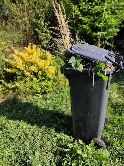 A black wheelie bin positioned on a grassy area outdoors, filled with garden waste including dried grasses, leafy green branches, and other yard debris. The bin is made of plastic with a slightly textured surface and features a closed, hinged lid on top. Surrounding the bin are lush green plants and bushes, with a large yellow flowering shrub to the left and dense foliage in the background. The scene suggests the bin is used for garden waste collection as part of alternative waste handling methods, possibly managed by Waste Removal Lambeth, situated outdoors on a private property or residential garden space. Natural sunlight illuminates the scene, casting soft shadows on the grass and highlighting the colors and textures of the garden waste and vegetation.